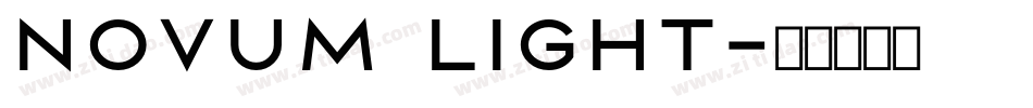 Novum Light字体转换
